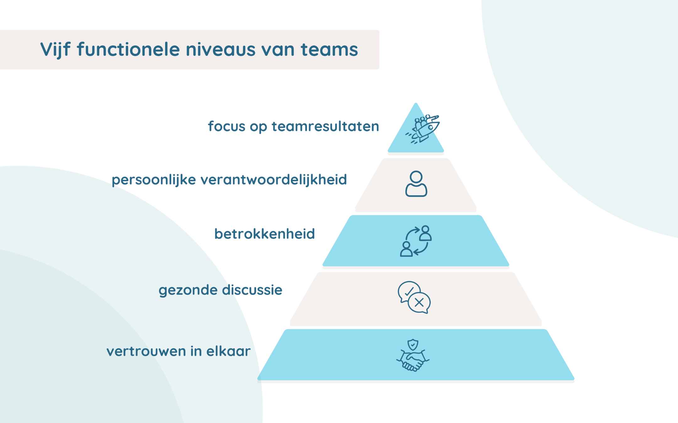 disfuncties team