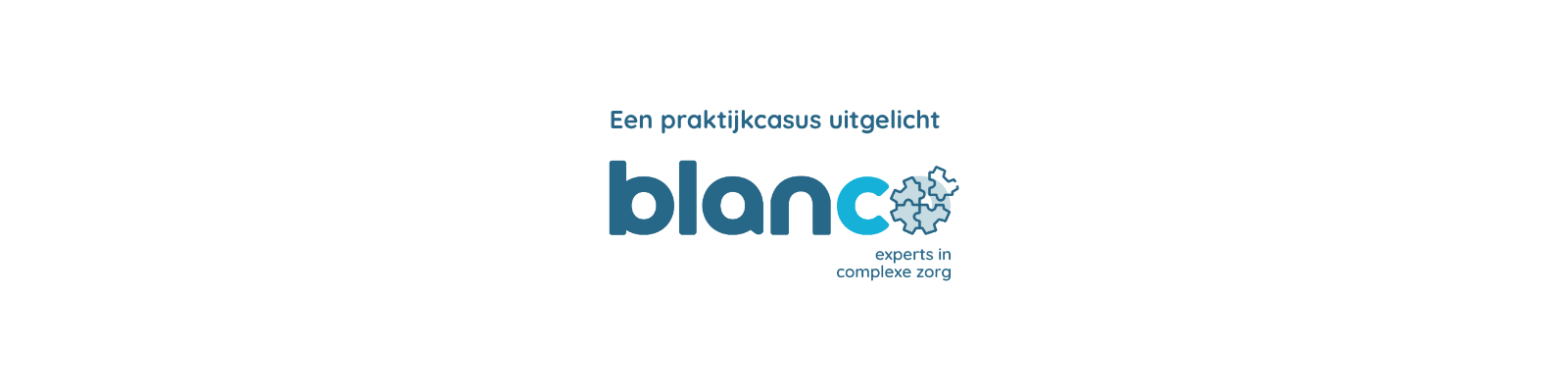 Lees meer over het artikel Meer dan vaardigheden: een langdurig samenwerkings­traject bij een maatschappelijke organisatie in Leiden